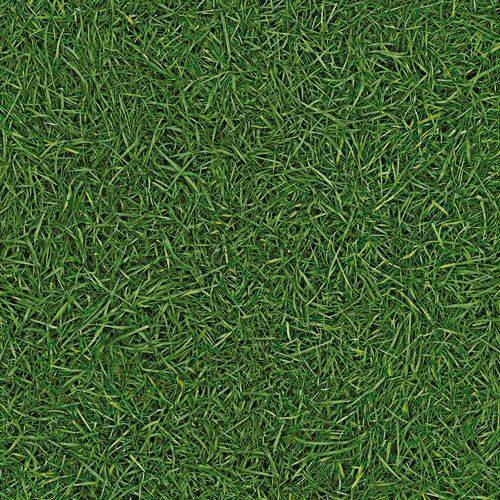 Линолеум бытовой "IVC" Neo Grass 25 (3м) — купить в Новокузнецке