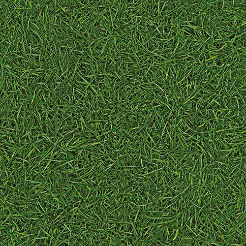 Линолеум бытовой "IVC" Bingo Grass 25 (3м) — купить в Новокузнецке