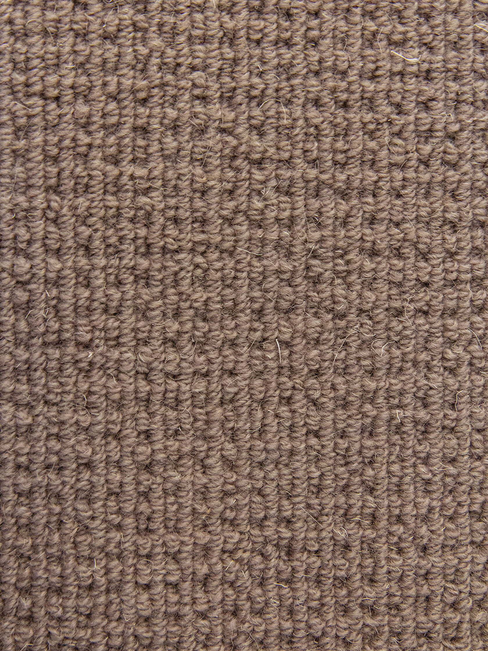 Ковровое покрытие "Bonkeel" Welfare Brown (ширина 4м) — купить в Новокузнецке