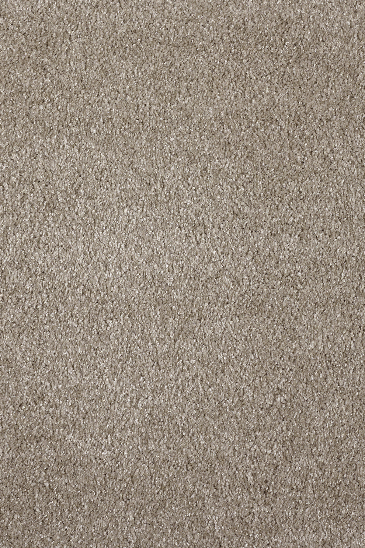 Ковровое покрытие "Bonkeel" Parana 34 (ширина 4м/5м) — купить в Новокузнецке