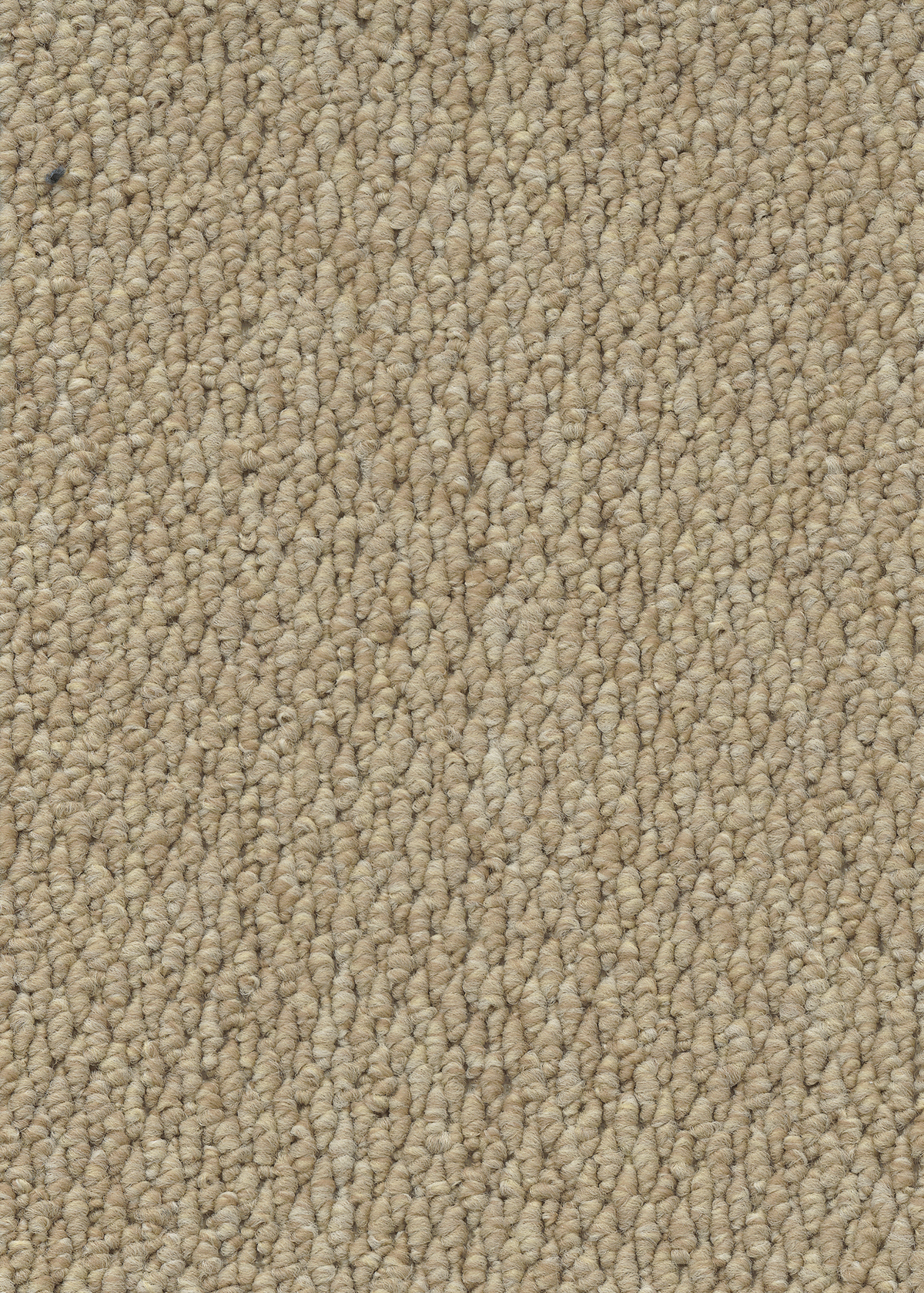 Ковровое покрытие "Bonkeel" Skye 50 (ширина 4м) — купить в Новокузнецке