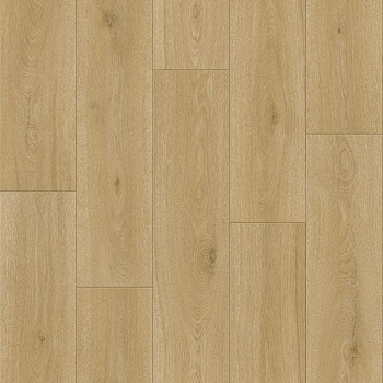 Линолеум полукоммерческий "Tarkett" Force Maison 4 (4м) — фото и характеристики